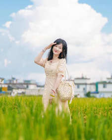 猪小猫