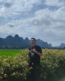 布林