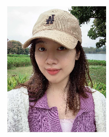 糖炒李子